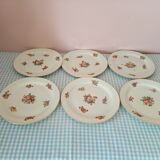 6 porcelain plates