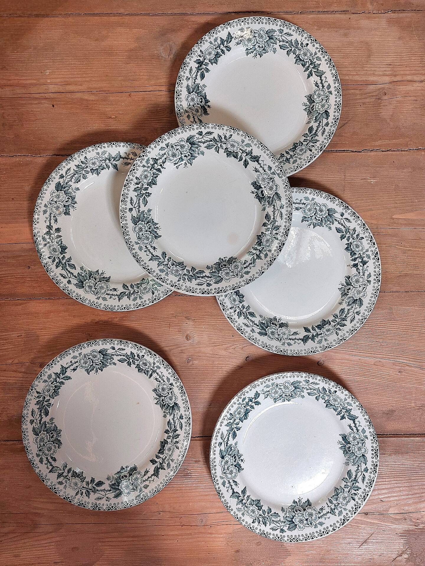 6 flat plates in ironstone - Guadeloupe model