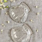 Shell cups