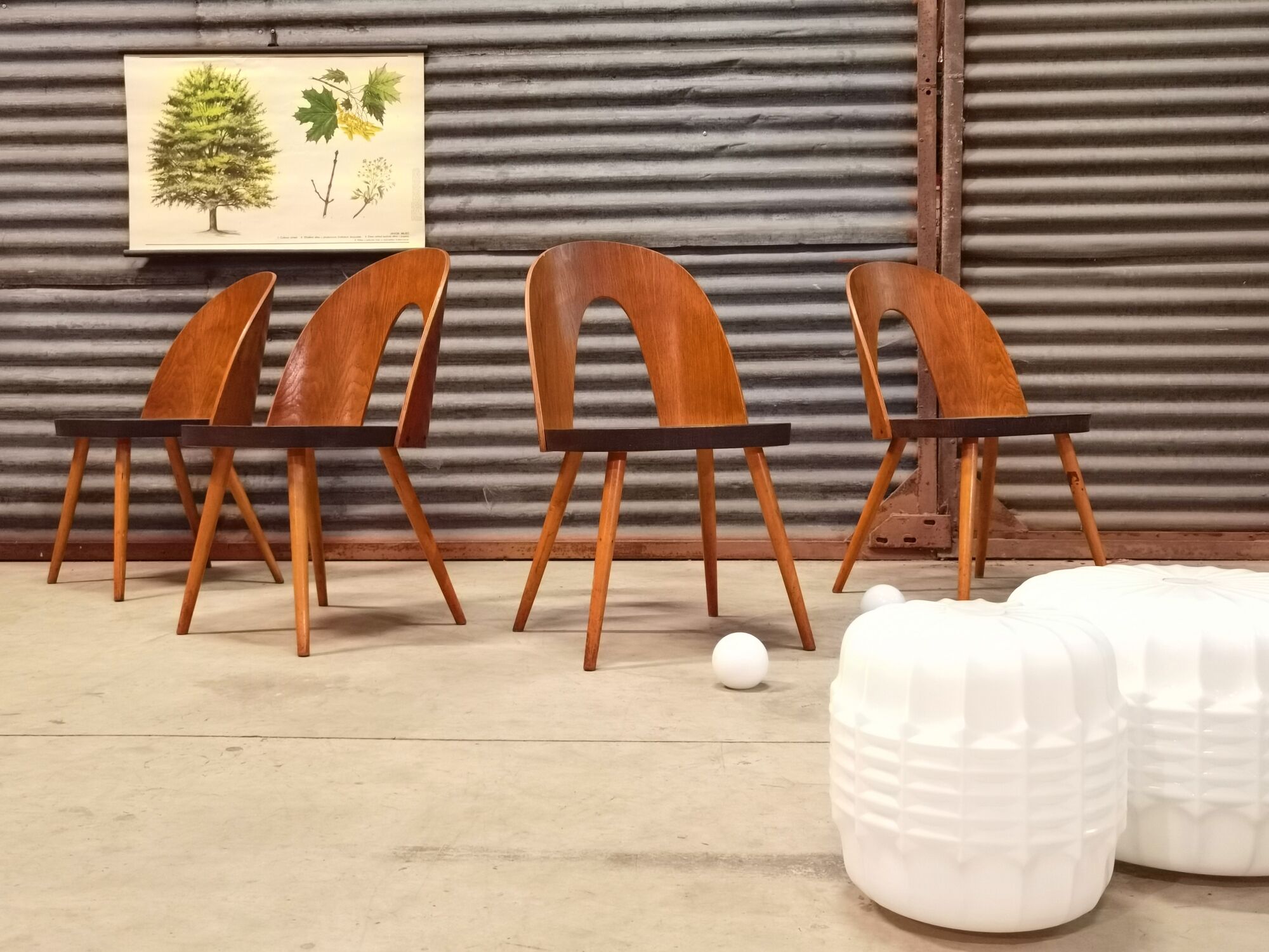 Set of 4 Antonin Suman chairs for Tatra Nabytok 1960