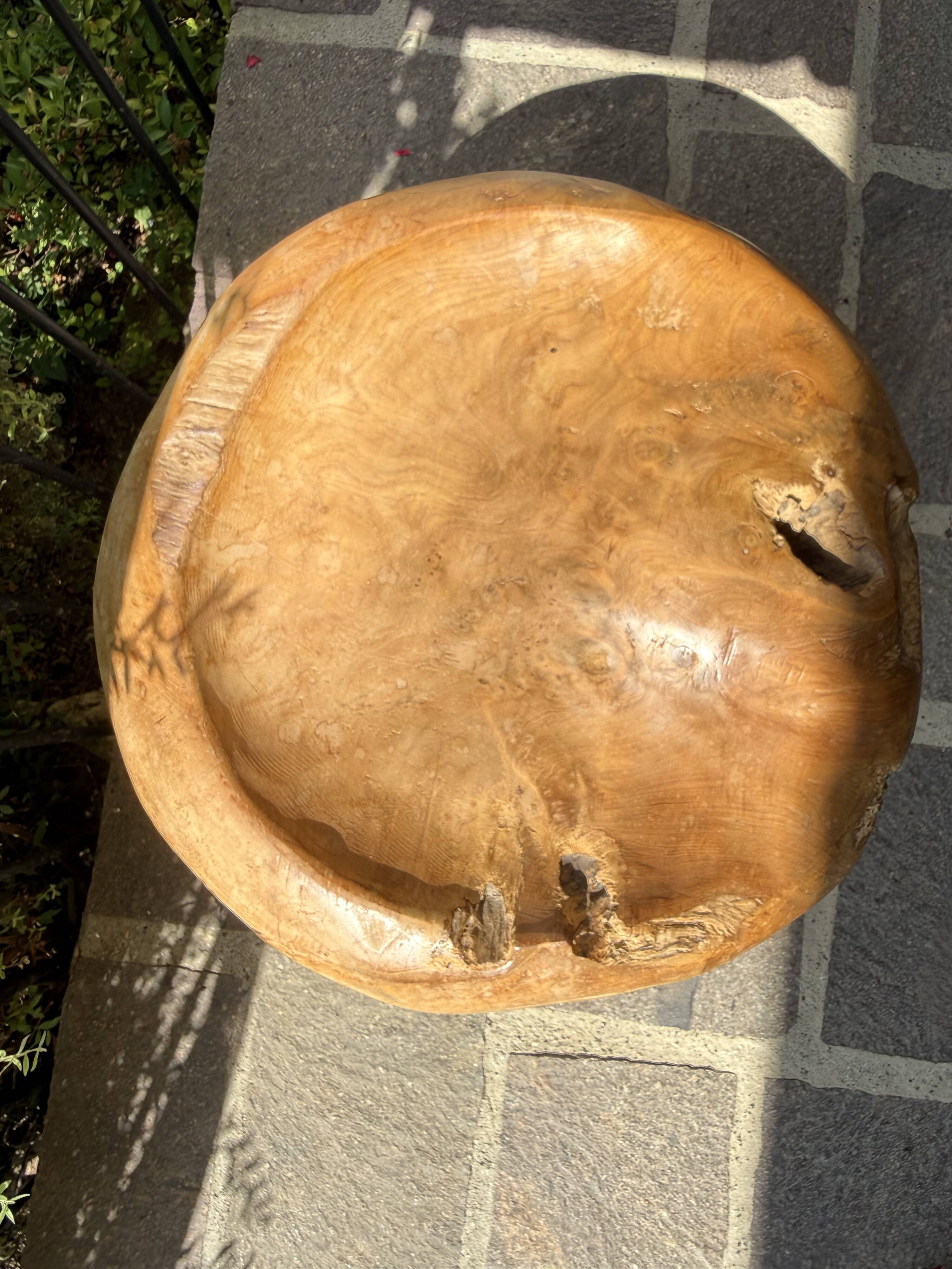 Olive root chair design