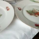 6 FLAT PORCELAIN PLATES THICK DECOR VEGETABLES 4 SEASONS