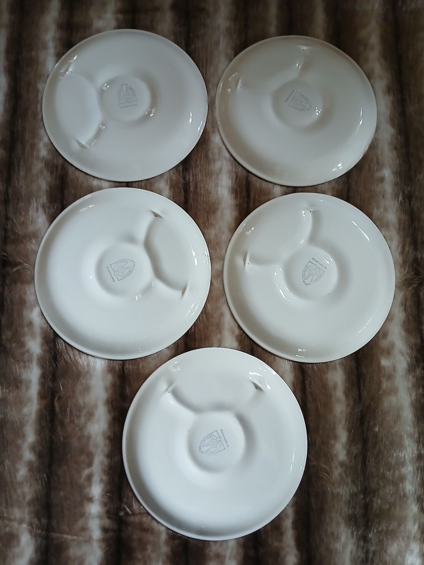 5 antique flat plates in majolica
