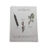 Planche botanique "Tisane laxative douce"