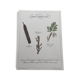Planche botanique "Tisane laxative douce"