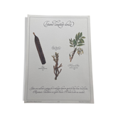 Planche botanique "Tisane laxative douce"
