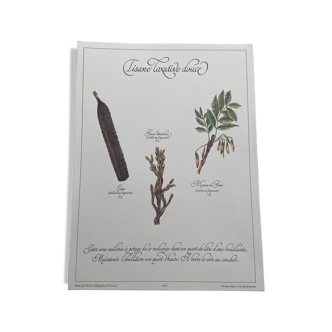 Botanical plank "Sweet laxative tisane"