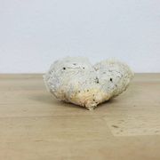 3 old white corals, coral