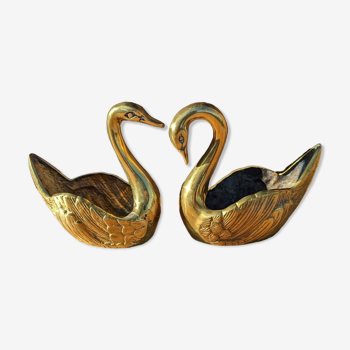 Golden brass swans duo