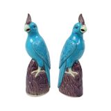 Pair of Turquoise Glazed Parrots Chinese Porcelain 30cm