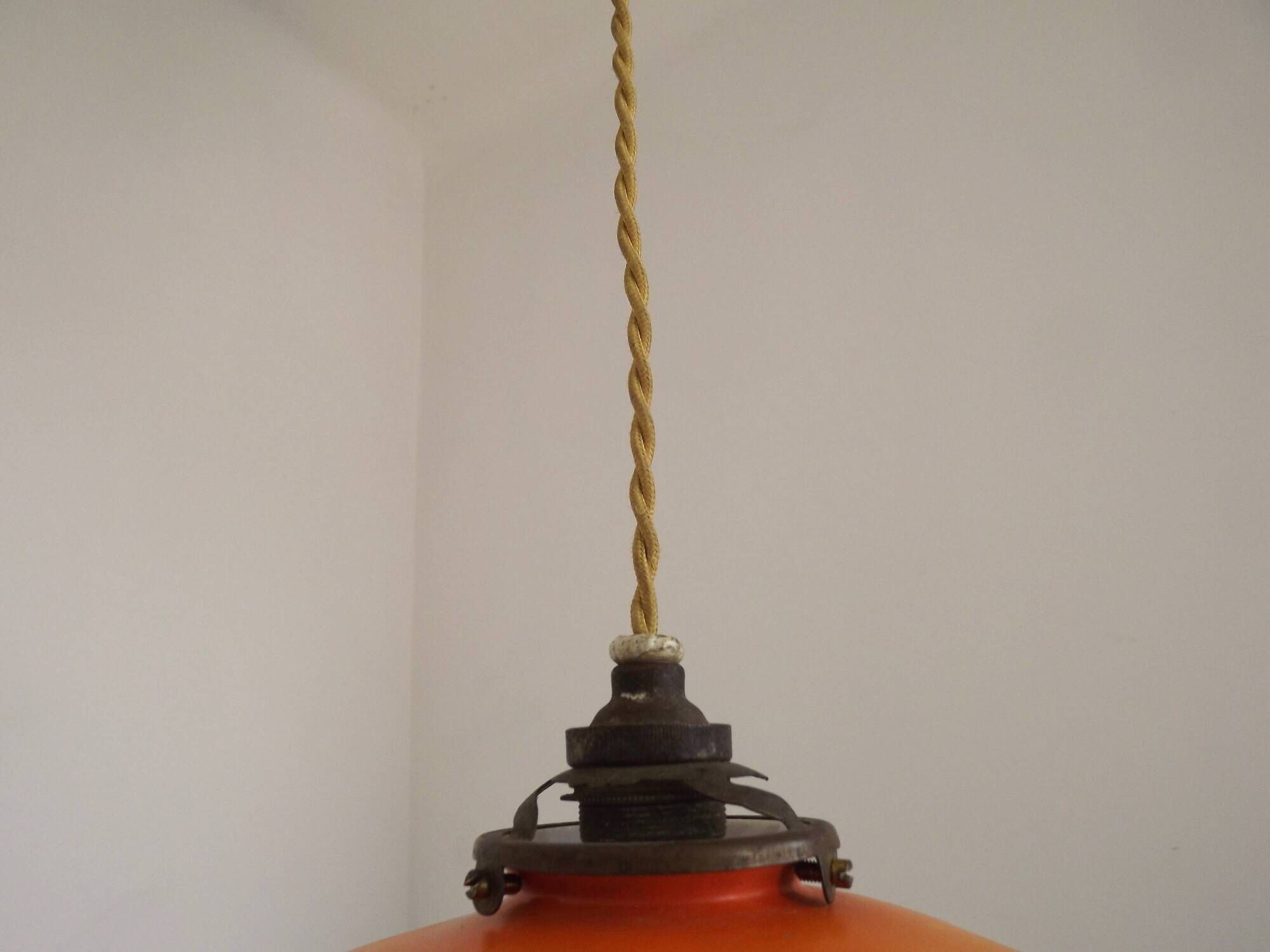 Rare French Art Deco Pendant Light | Illustrated Dog Countryside Shade