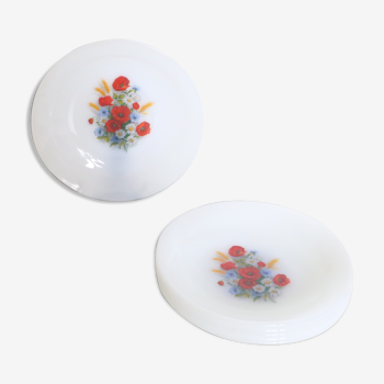 Set de 6 assiettes creuses Arcopal motif coquelicots, vintage Français