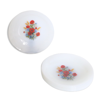 Set of 6 hollow plates Arcopal pattern poppies, vintage French