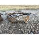 Pair of cast iron planters from 1900 in Charleville - Mézières