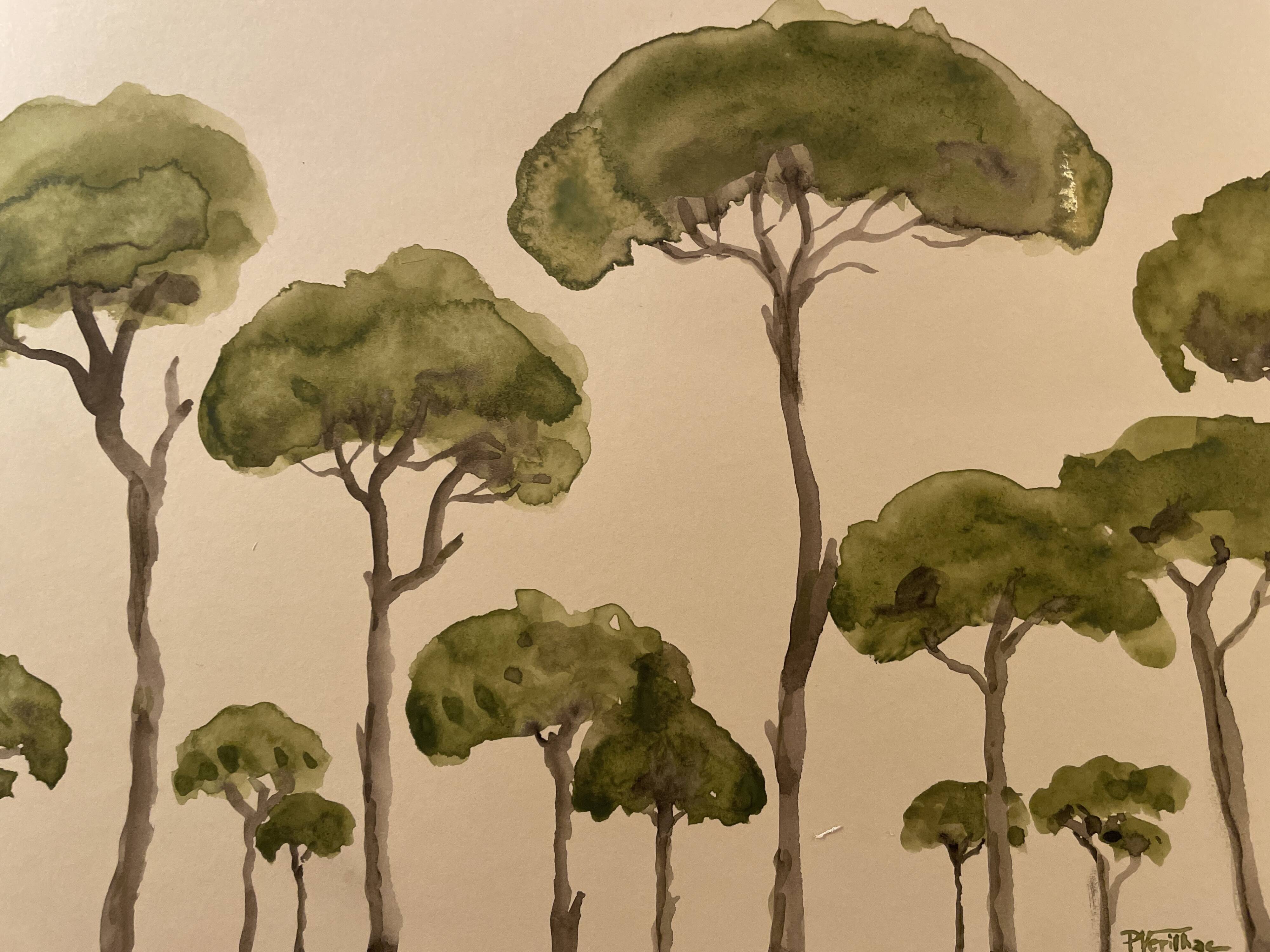 Tableau signé aquarelle « pinède du Lubéron »