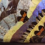 Vintage Brazilian inlaid tray Morpho butterfly wings, 1930s