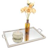 Mirror tray