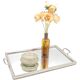 Mirror tray