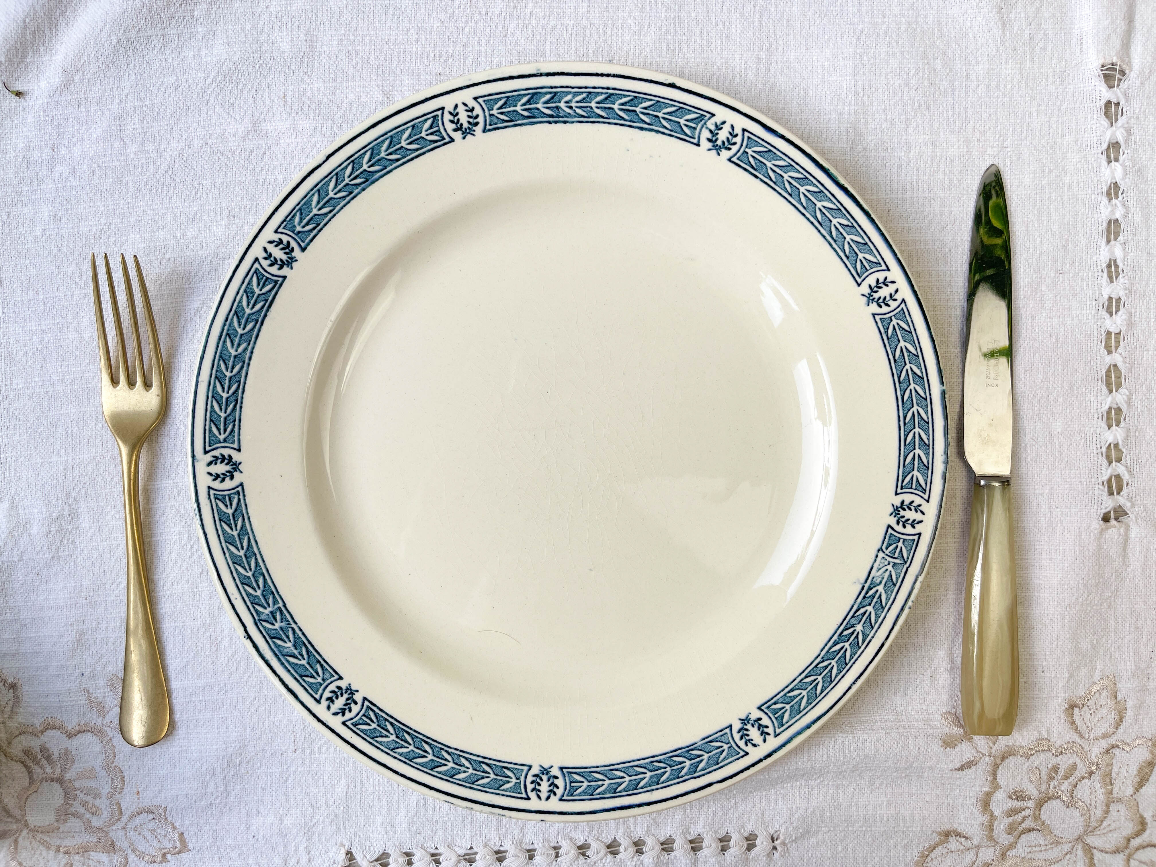 9 vintage flat plates iron earth salins model "castellane"