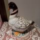 Terrine en forme de canard