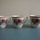 set of 6 Sarreguemines Agreste art table antique french cups plates
