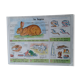 School poster rabbit and clay