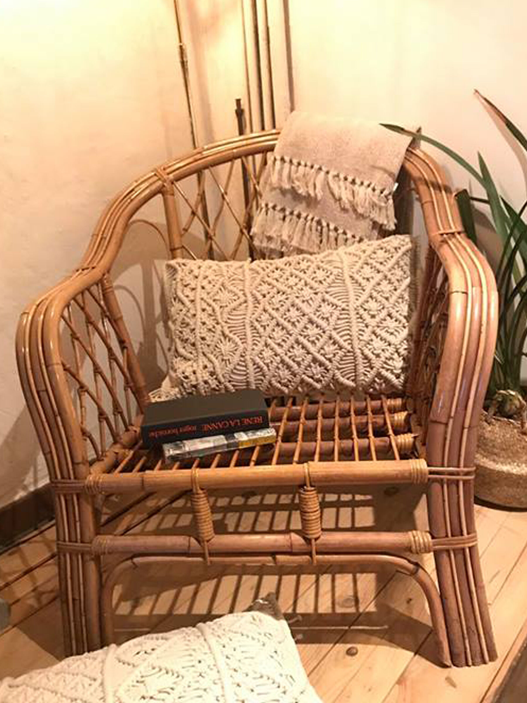 Pair of rattan armchairs