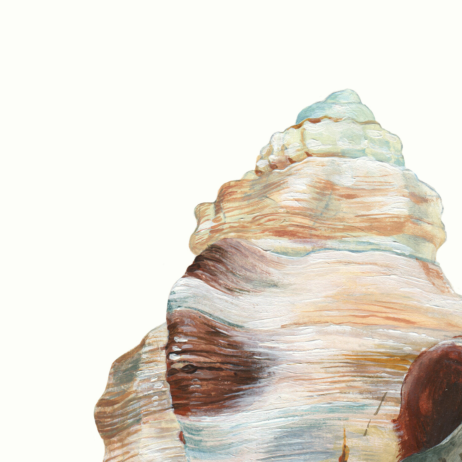 "Abelle", the shell, art print 21/29.7 cm