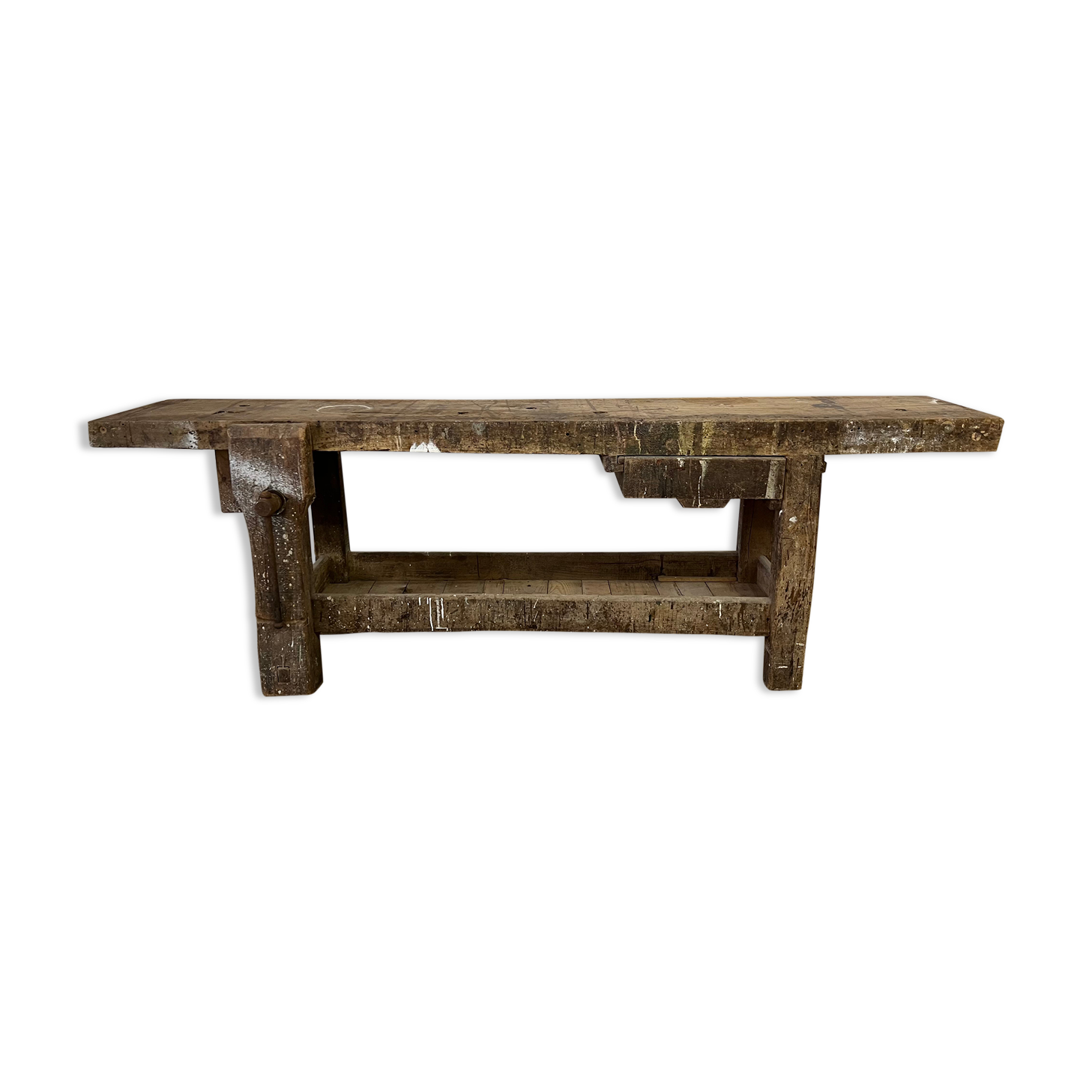 Established in old wood