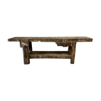 Established in old wood