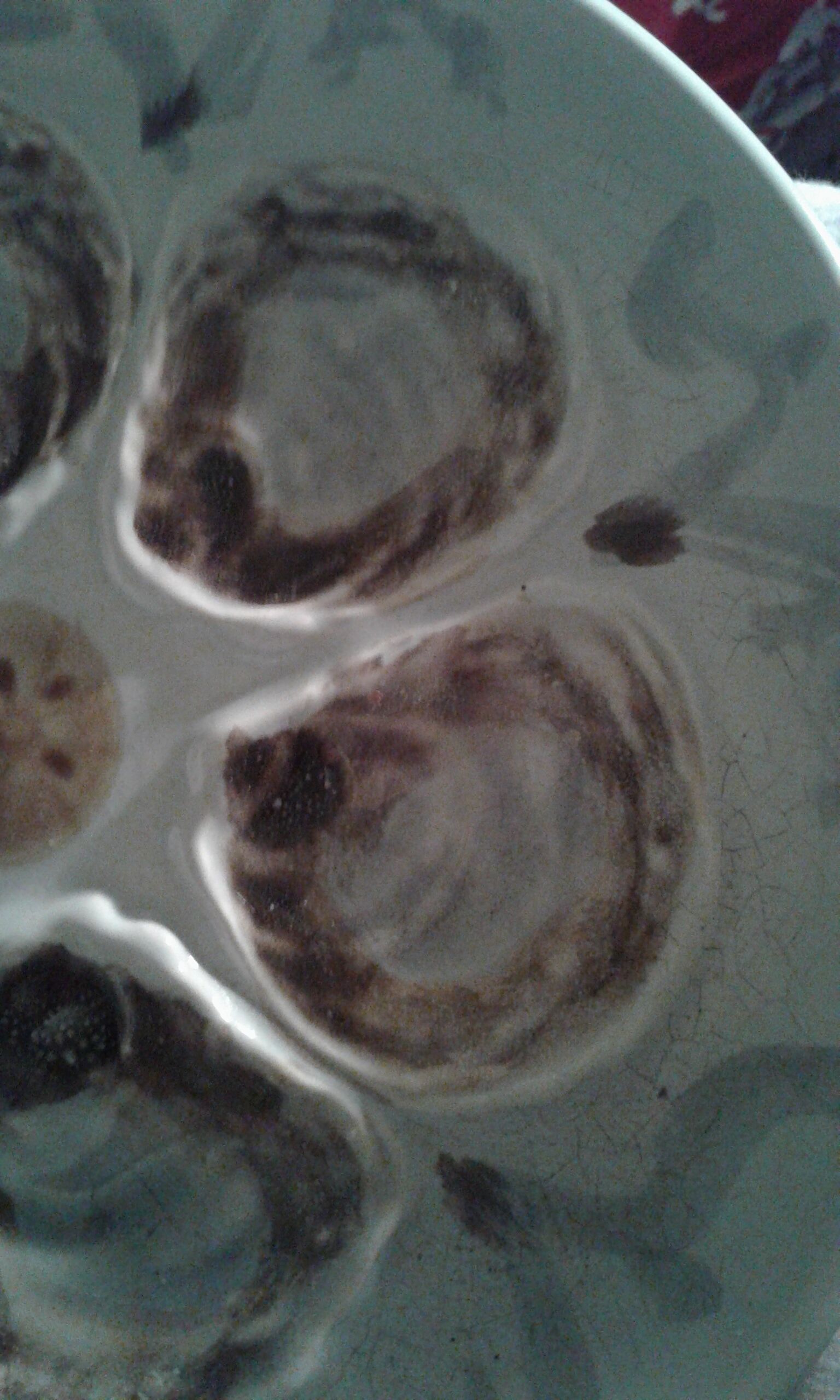 6 plates of oysters faience of Saint Amand