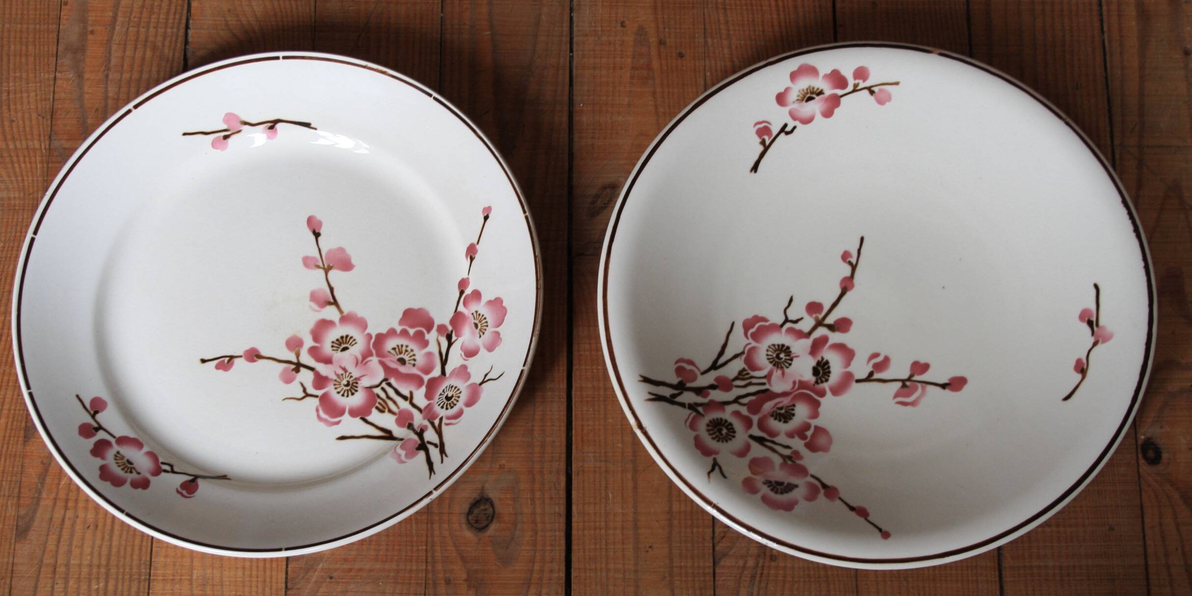 set of 2 dishes/large plates St Amand Terre de Fer "cherry"