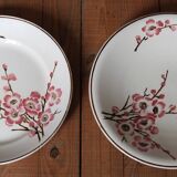 set of 2 dishes/large plates St Amand Terre de Fer "cherry"