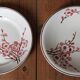 set of 2 dishes/large plates St Amand Terre de Fer "cherry"