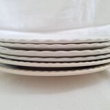 Vintage blue pink dinner plates