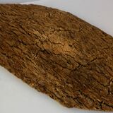 Fruit cut in bark 59x29cm