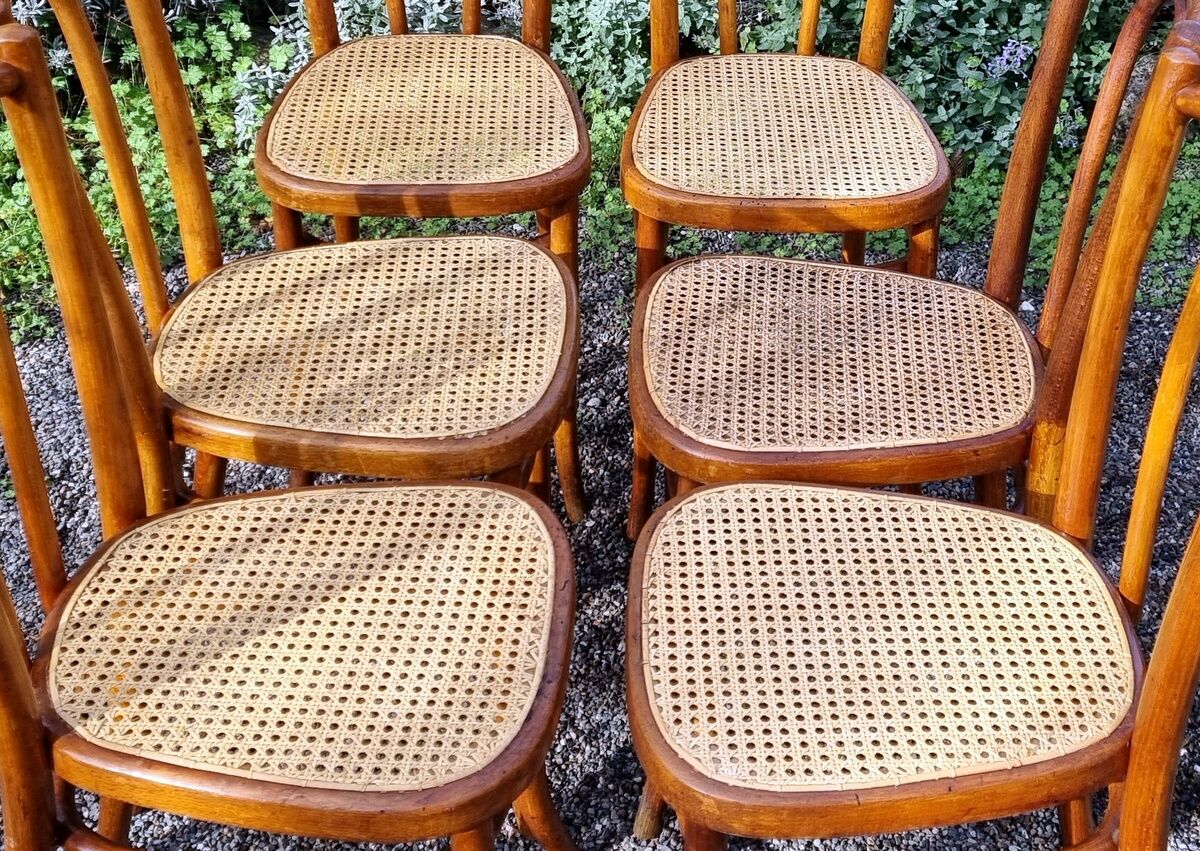 6 chaises Baumann n°42 1/2 années 20