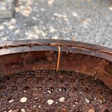 Canned chairs Thonet