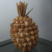 Trash in the form of the pineapple in natural fibers
