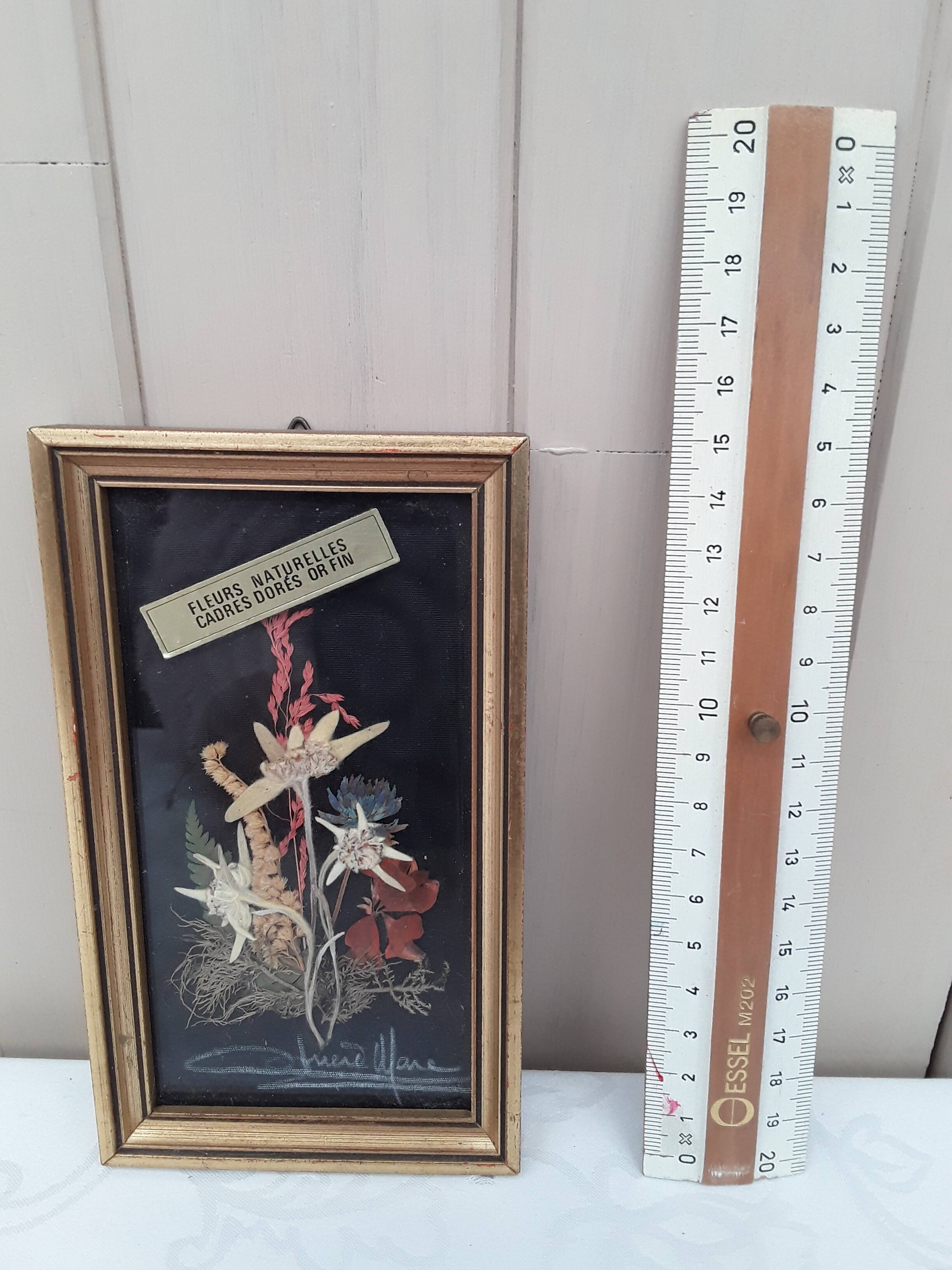 Herbarium frame under vintage glass
