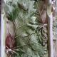 Plat ovale ancien en barbotine