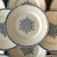 16 flat plates in Salins earthenware