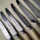 12 Apollo cheese knives Stainless steel and bovine horn