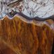 Rounded Walnut Burl Double Bed, 1950s