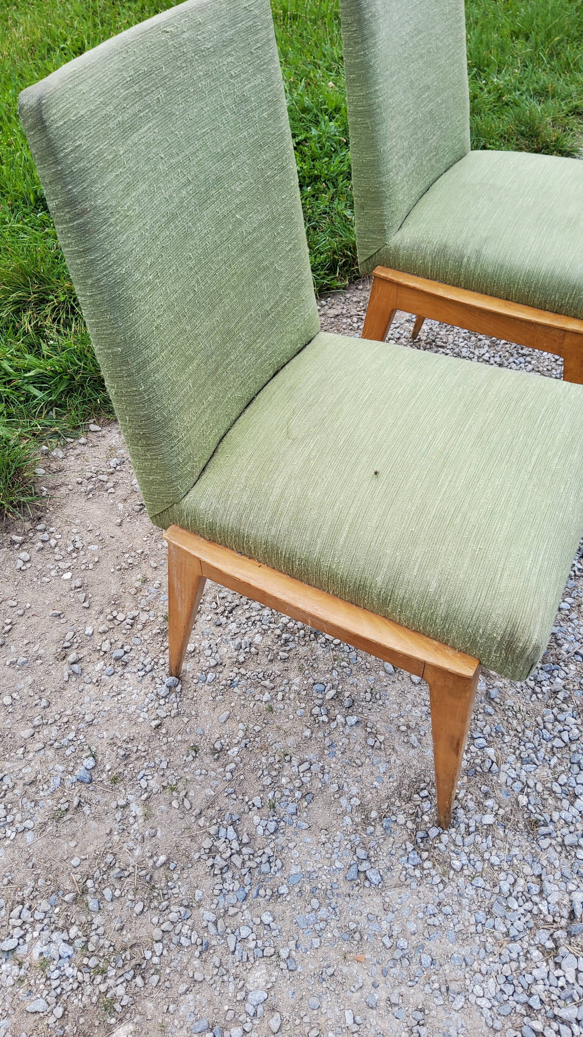 Pair of chairs from the 50s in sycamore tinted beech