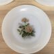 Set of 6 Arcopal Rose de France dessert plates