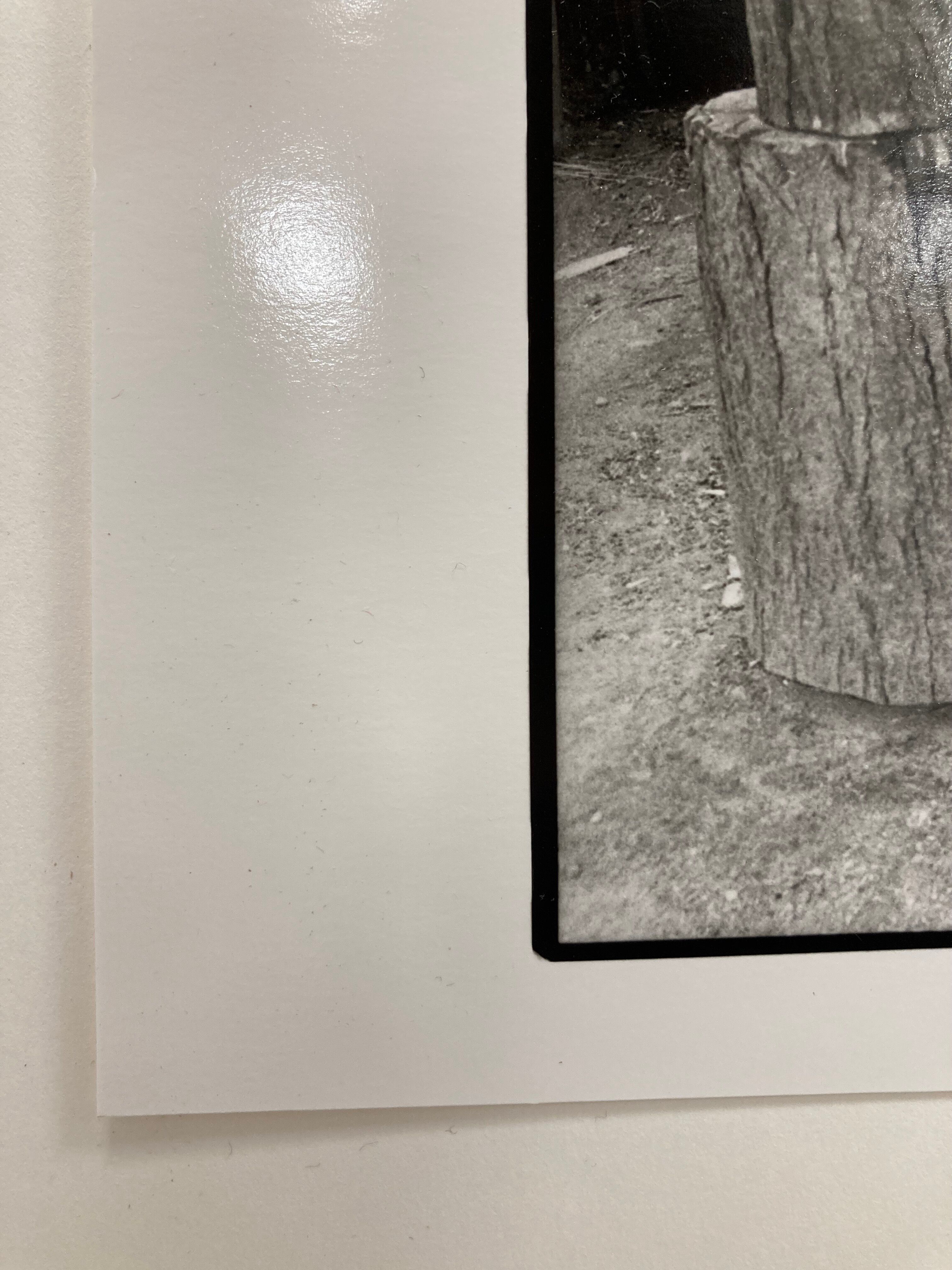 Photographie argentique d'artiste