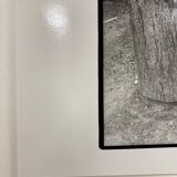 Artist's film photography
