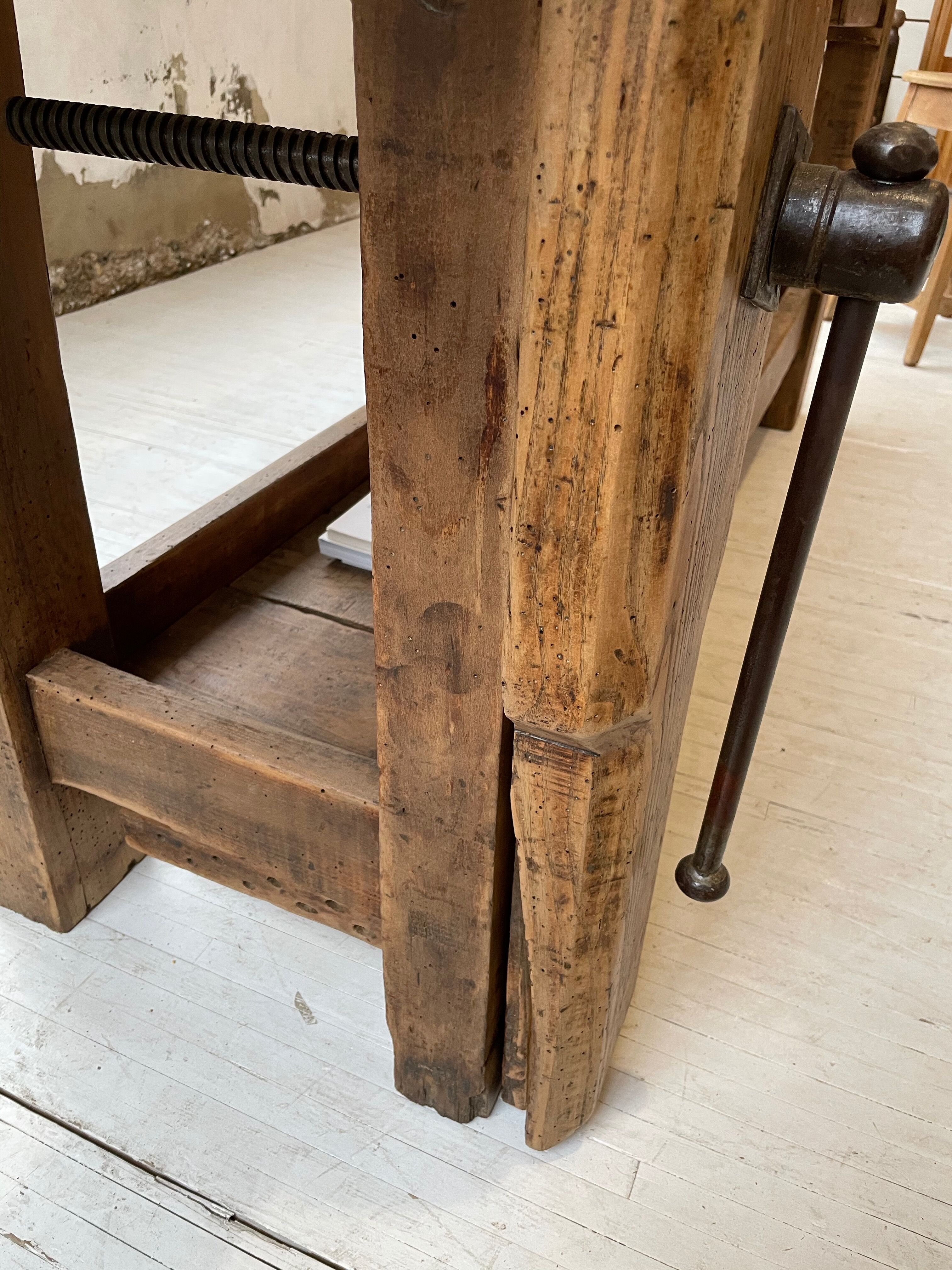 Established old oak XL