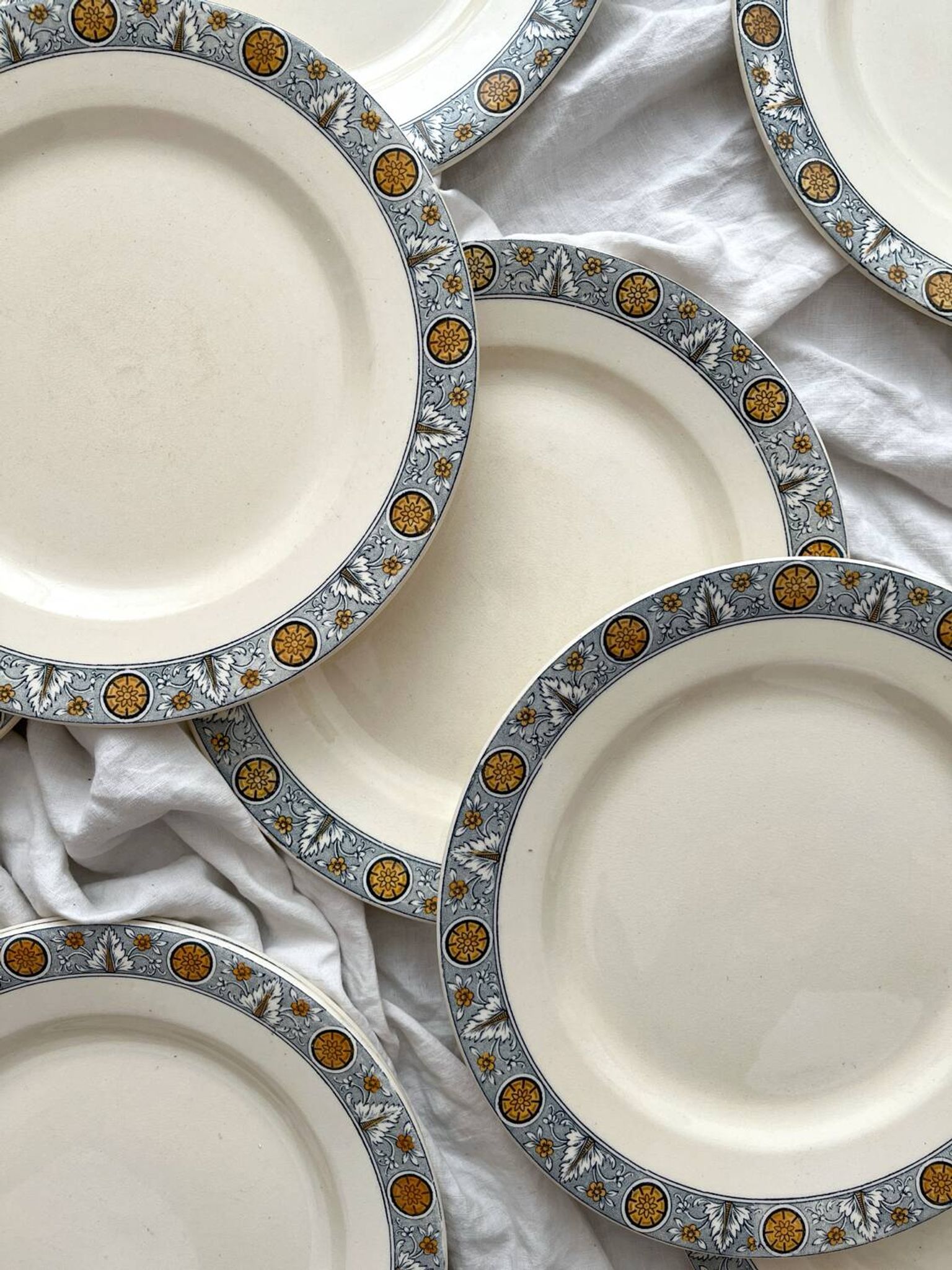 10 assiettes plates en terre de fer « Lamartine » Salins